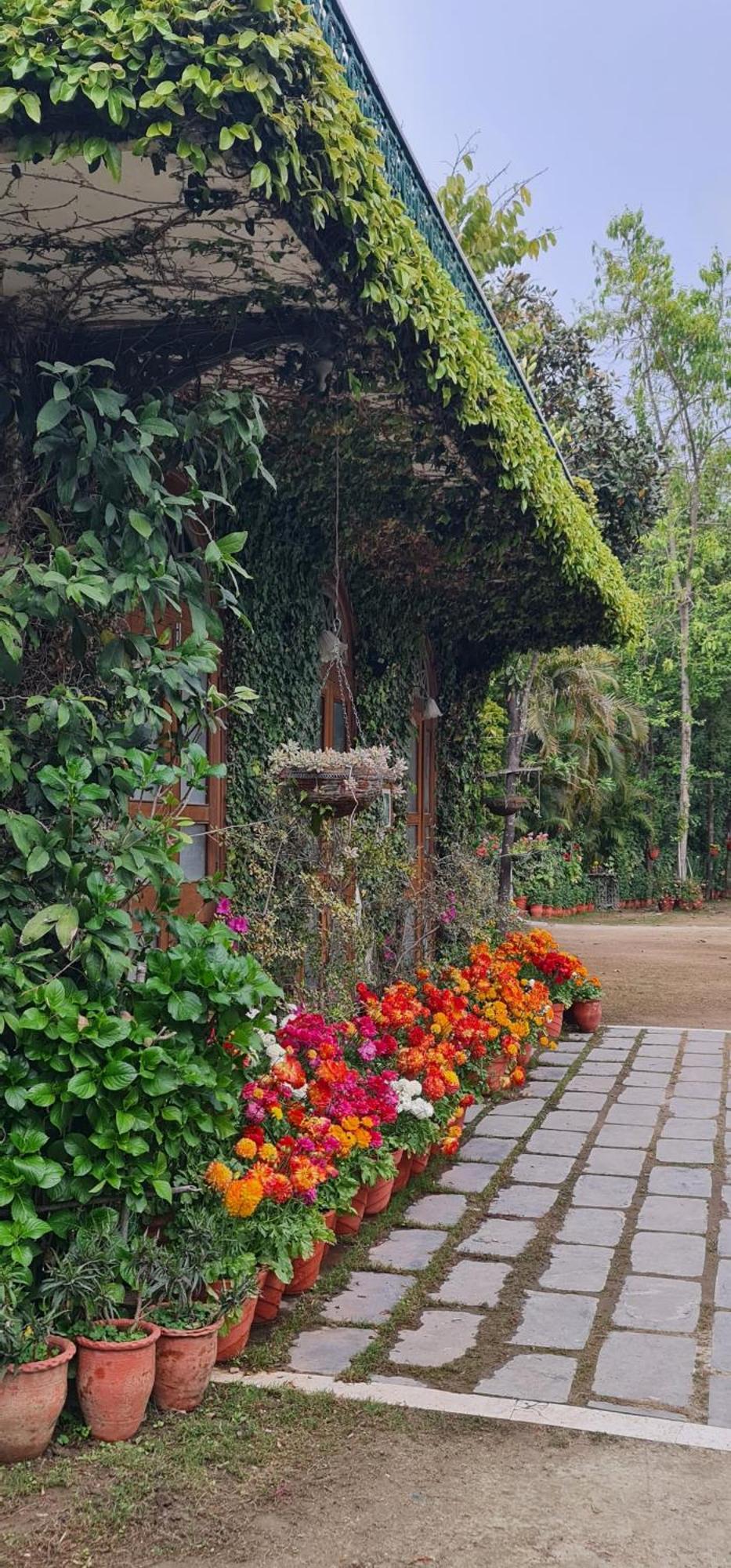 Shaheen Bagh - A Luxury Boutique Resort & Spa Rājpur Eksteriør billede